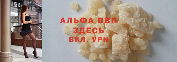 дживик Вязьма