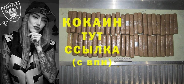 дживик Вязьма