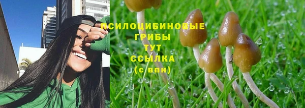 МДМА Вяземский