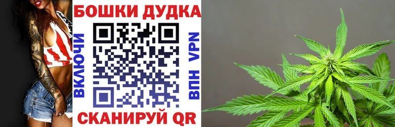 Бошки марихуана марихуана  купить   Семёнов 